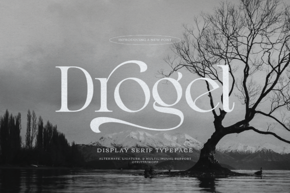 Drogel: A Majestic Serif Font for Elegant Branding